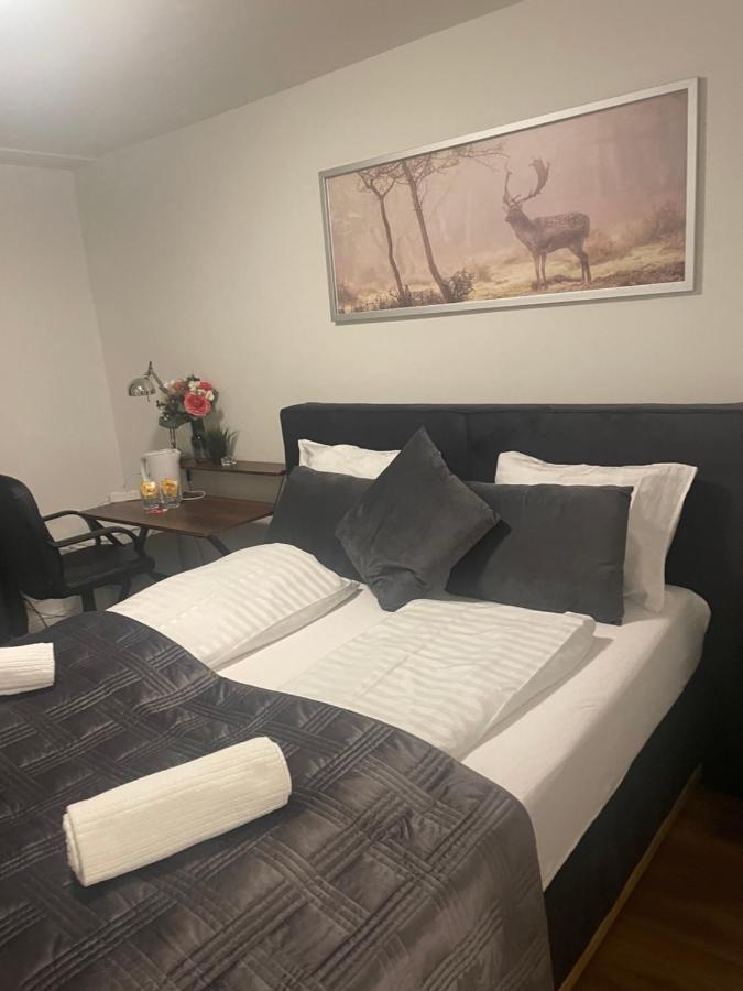 Hechtplatz Hotel Zurich Ngoại thất bức ảnh